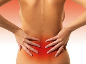 Ursachen für Schmerzen in der Wirbelsäule in der Lendenwirbelsäule