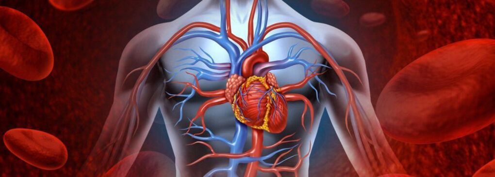 Herzerkrankungen sind die Ursache für Brustschmerzen, die bis zum Hals reichen. 